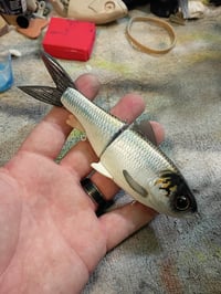 Image 2 of Pre-order Finesse shad