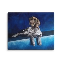 Image 1 of Blue German Shorthaired Pointer