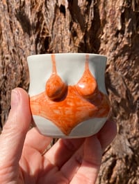 Image 9 of HOT Shot Swimers Cups