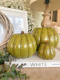 Image 3 of SALE! Speckled Green Pumpkins ( 3 sizes )