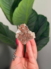 Image 1 of CHALCOPYRITE X CALCITE -MOROCCO- M