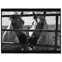 Image 1 of Soft Throw Blanket Ponies from Murdo #3