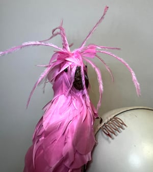 Image of Pink bird