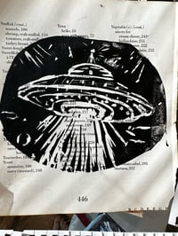 Image 2 of ufo over savannah bridge