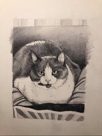 Image 2 of Custom Pet Portraits