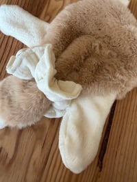 Image 3 of DOUDOU OIE TON NEUTRE