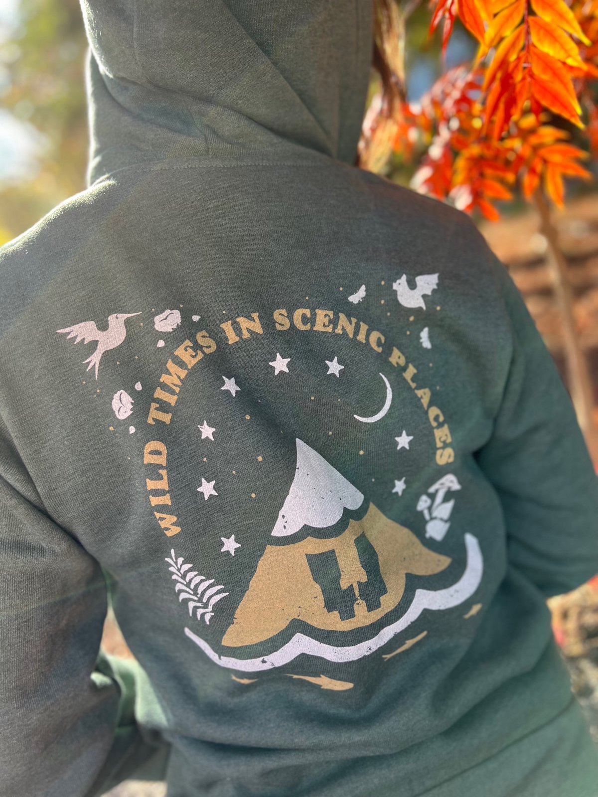 Mountain store Hoodie