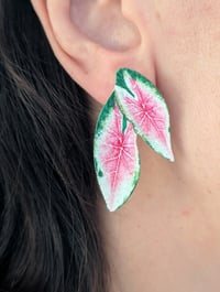 Image 1 of Boucles d'oreilles feuilles pothos 