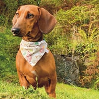 Image 1 of Dachshund white rabbit bandana - Medium