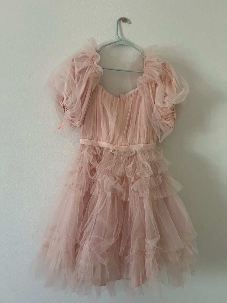 Image of Pale pink frills dress