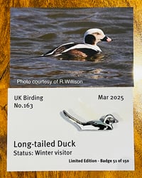 Image 1 of Long-tailed Duck - No.163 - UK Birding Pins