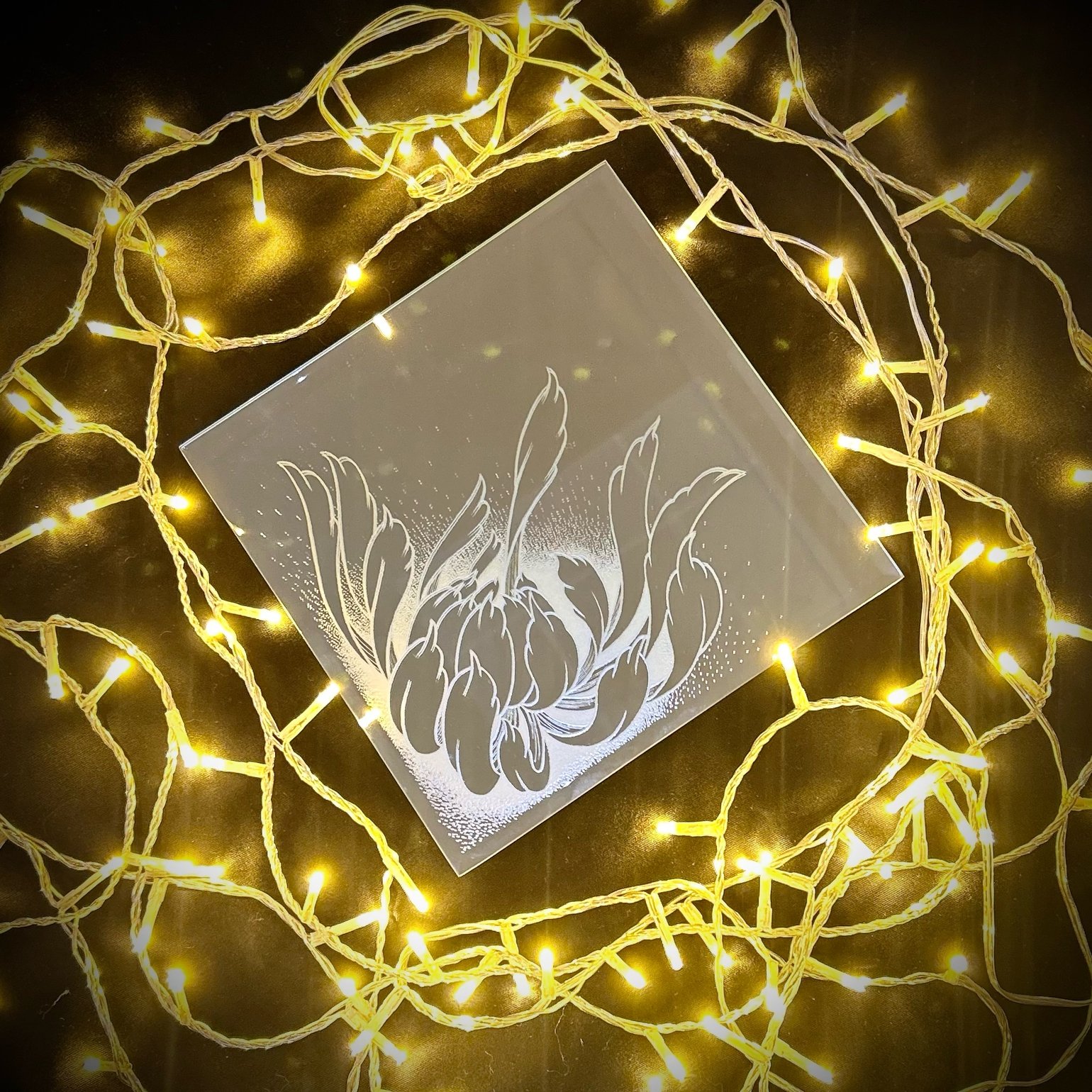 Image of Chrysanthemum square 