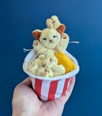 Image 1 of Popcorn kitten pre-order