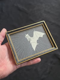 Image 1 of ANTIQUE ANATOMICAL ANIMAL COLLECTION - & Preserved Web 10 