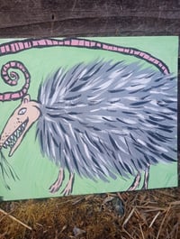 Image 7 of Possum