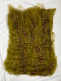 Image 3 of Forest Batt #2