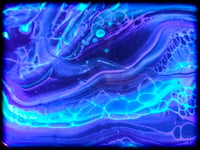 Image 6 of SEcreTs UV 12" 