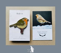 Image 1 of Robin - #7 - Norfolk Wildlife Series - SB Photography