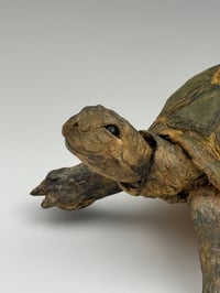 Image 17 of Steady On- Julie Kradel