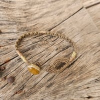 Image 4 of Autumn Jasper