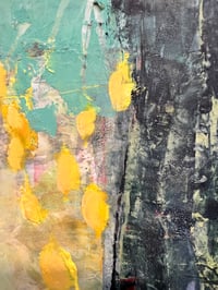 Image 5 of When Maarten planted 200 tulips for the rabbits to enjoy- Mara Manning