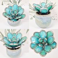 Image 5 of Stained Glass Rounded Leaf Succulent 