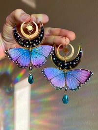 💜Aurora Butterflies💜
