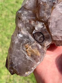 Image 20 of Smoky Quartz & Red Rutile Enhydro Multi Terminated Crystal | Zambia #3052