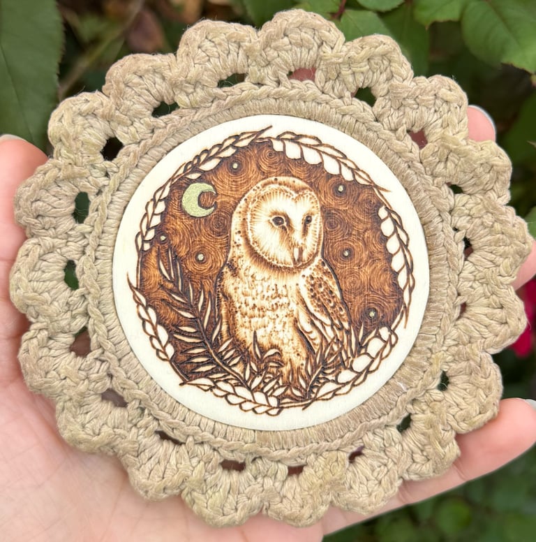 Midnight Owl Image 2