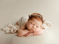 Image 1 of Vintage Roses Halo - Coco