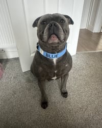 Image 3 of Decal For Collars . Leads & Lanyards- 25MM OR 38MM ONLY