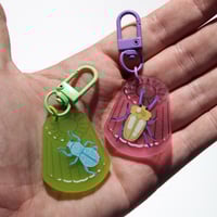 Image 2 of Beetle Jelly Frosted Charms