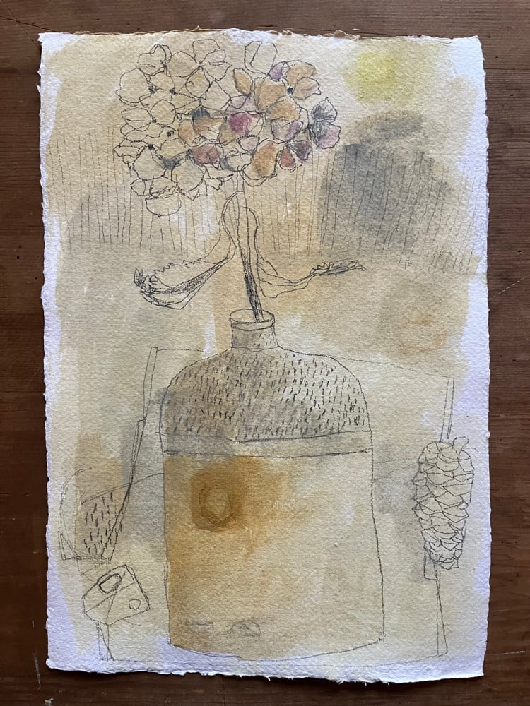 Image of Winter hydrangea. 