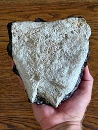 Image 18 of Australian Smoky Amethyst | Wyloo Station Western Australia #2825