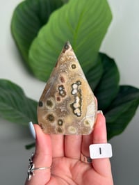 Image 9 of CHOOSE YOUR OWN SEA JASPER FLAME -MADAGASCAR-