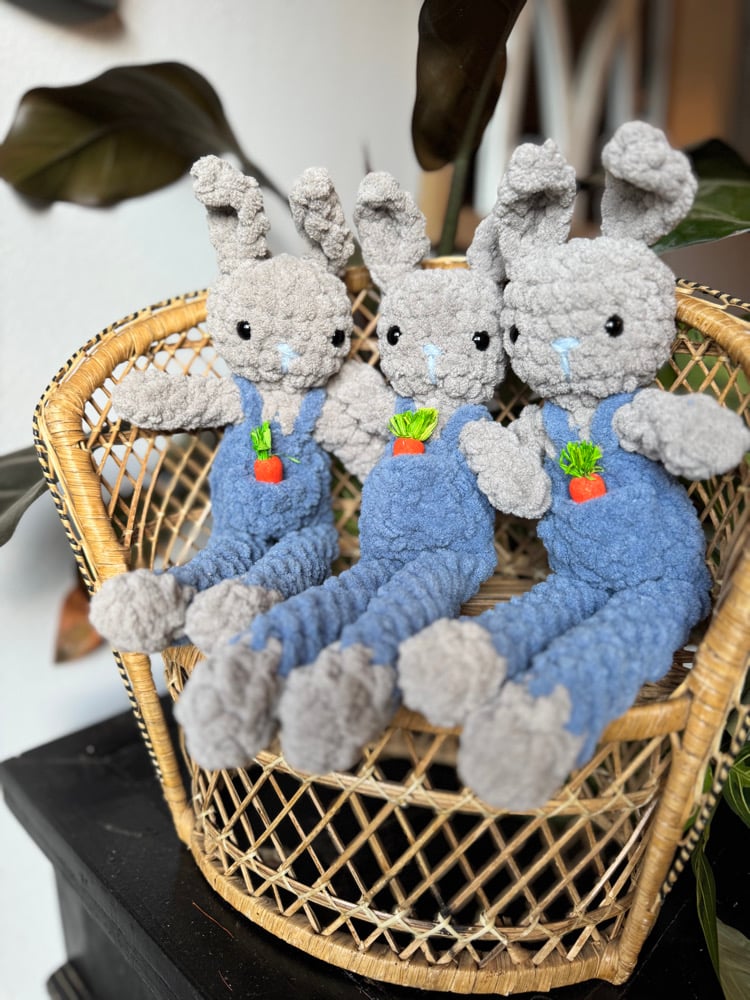 Image of Bunny Boy 