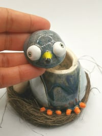 Image 2 of Pigeon 6