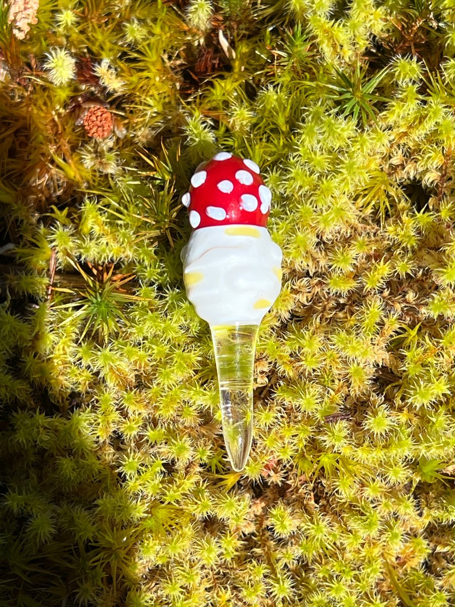 Image of Amanita Button Plant Spike