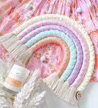 Image 2 of Sorbet Fizz Wizz Standard Rainbow 