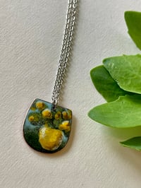 Image 1 of Potted Flowers 