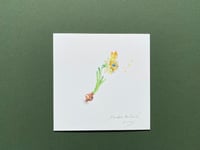 Image 3 of Bunnydill - Artwork