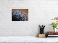 Image 1 of Mountain Melt (Prints)