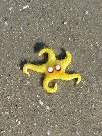yellow starfish