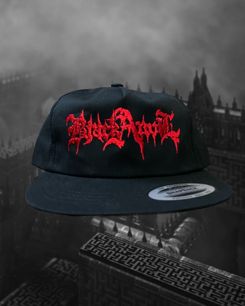 Image of Snapback Logo Hat 