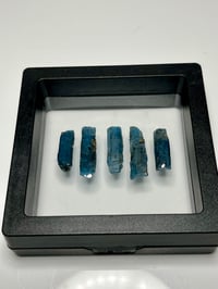 Image 4 of Ocean Kyanite Blades | Harts Range NT Australia #3078