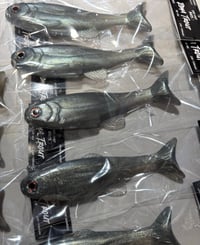 Image 2 of Roma Trout - Flashy Shad
