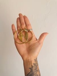 Image 1 of Catus hoops