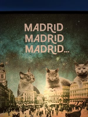 Image of Madrid, Madrid, Madrid. Puerta del Sol.