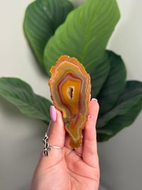 Image 1 of CONDOR AGATE -ARGENTINA- A