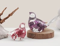 Image 2 of Bird with small Butterfly